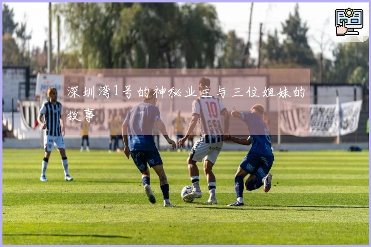 深圳湾1号的神秘业主与三位姐妹的故事